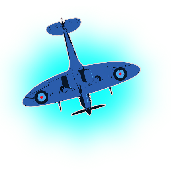 SPITFIRE - The Bensin Clothing Company